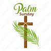 Diseños Vectores Cruz cristiana palma