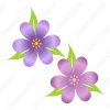 Flores morados, ilustraciones Diseños Vectores