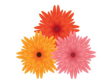 Flores para decoraciones adornos diseños vectoriales