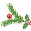 Rama de árbol Navidad Diseños Vectores