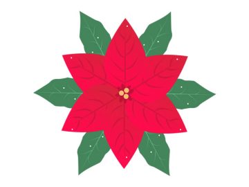 Vectores de diseños de flores de Navidad