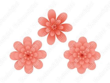 Vectores de diseños de flores de color rosa