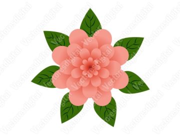 Vectores de flores de color rosa